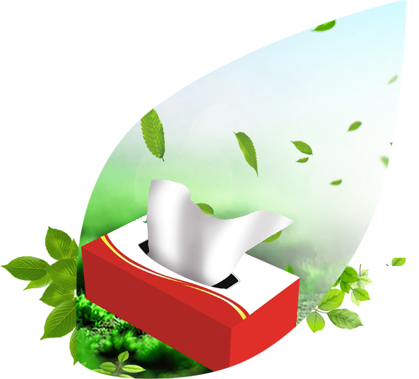 潔麗紙巾定制 潔麗紙巾定制